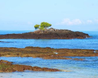 Santa Cruz Island