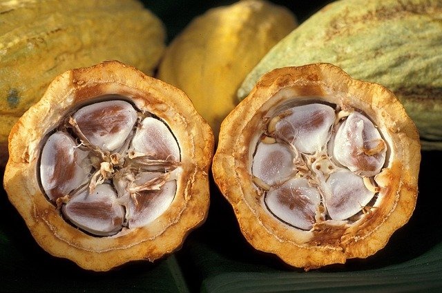 Cacao | Peru