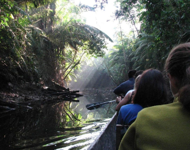 Deep Rainfores Experience | Ecuador