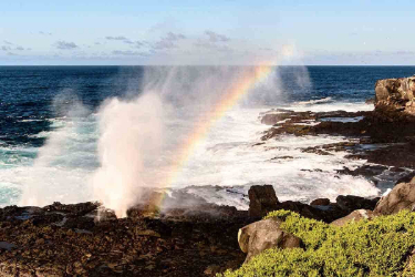 Suarez Point | Galapagos Islands