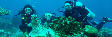 Eight Tips for Diving in the Galapagos Islands