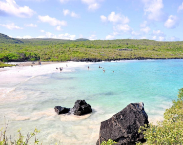  Galapagos Snorkeling & Hiking tour package