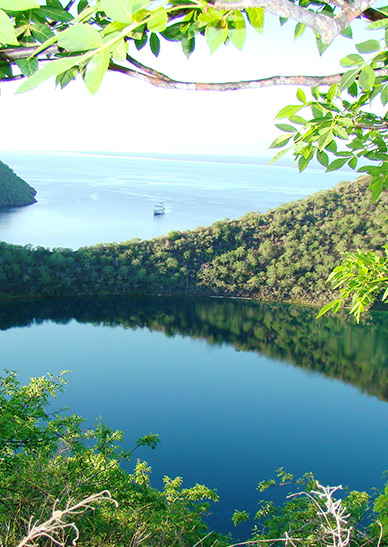  Tourist Superior Galapagos Southern Islands Cruise