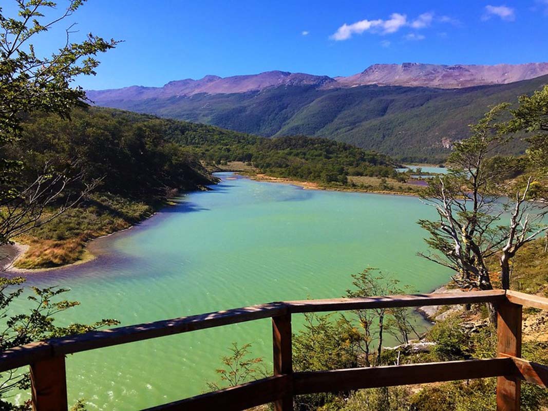 Tierra de fuego national park | Argentina