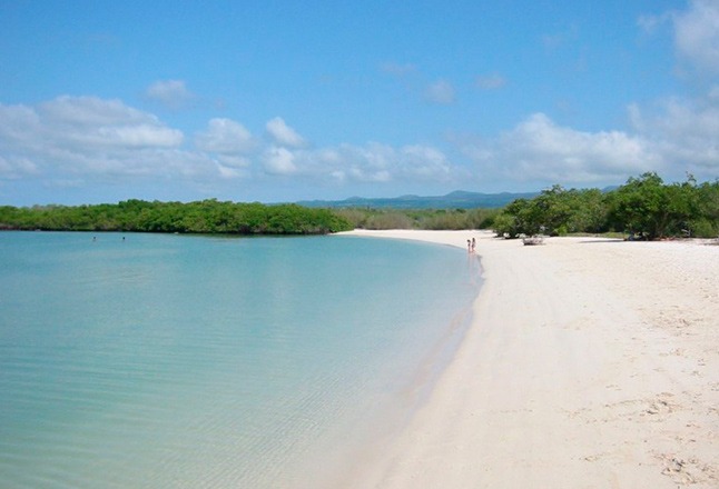 Tortuga Bay | Galapagos