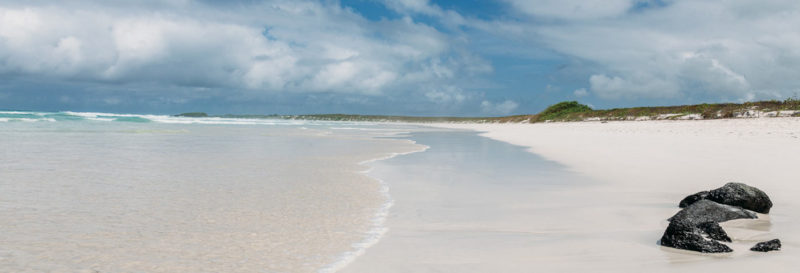 Top Four Beaches in the Galapagos Islands