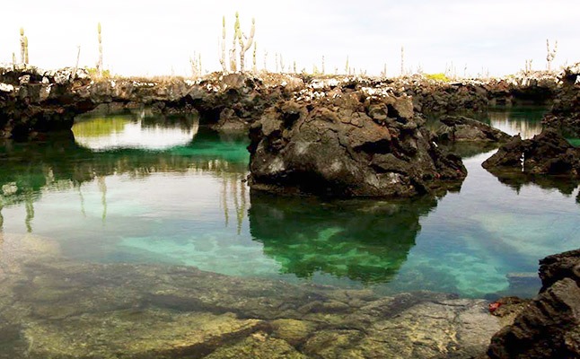 Tunels | Isabela Island