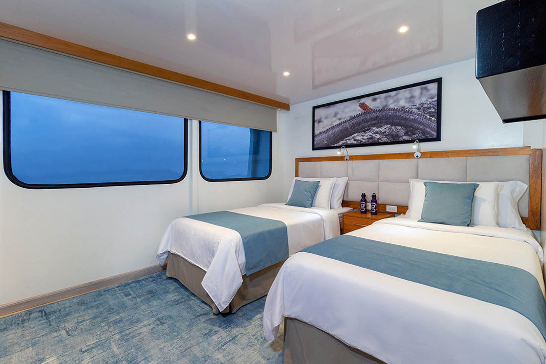 Reina Silvia Voyager | Twin Bed