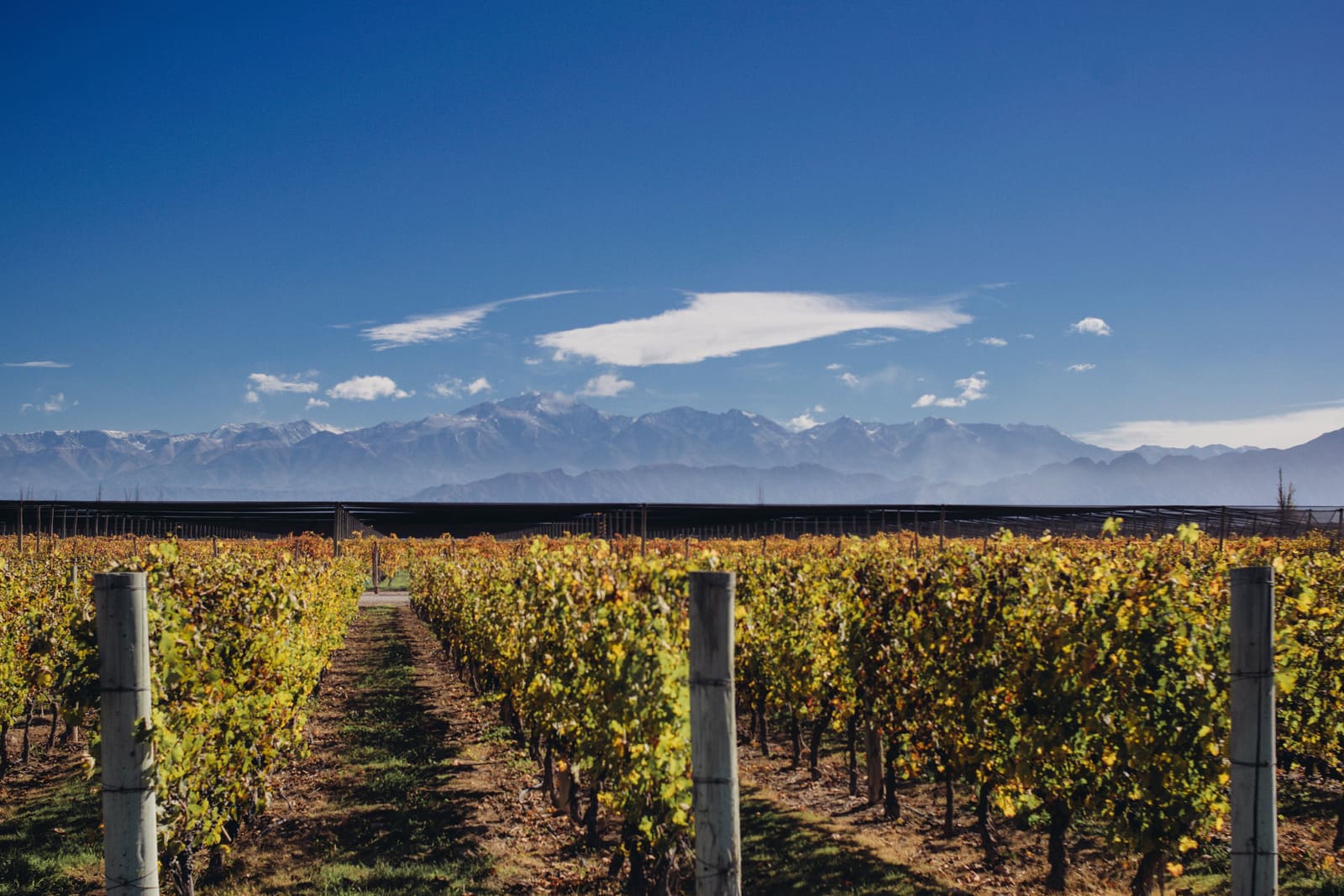 Mendoza Wine Route and inauguration of the first solar tourist train in Jujuy
