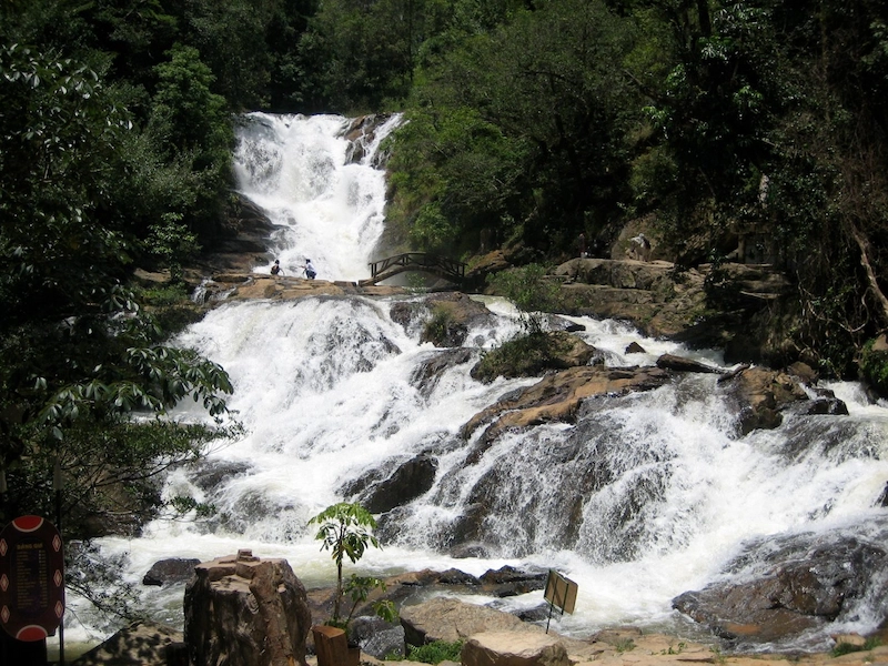 Kinh nghiệm du lịch Đà Lạt - TravelEasy