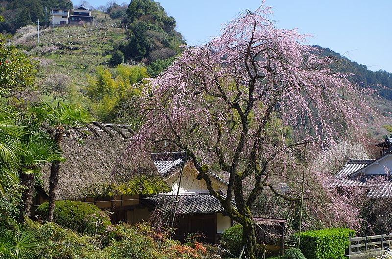 堀家住宅 賀名生皇居跡