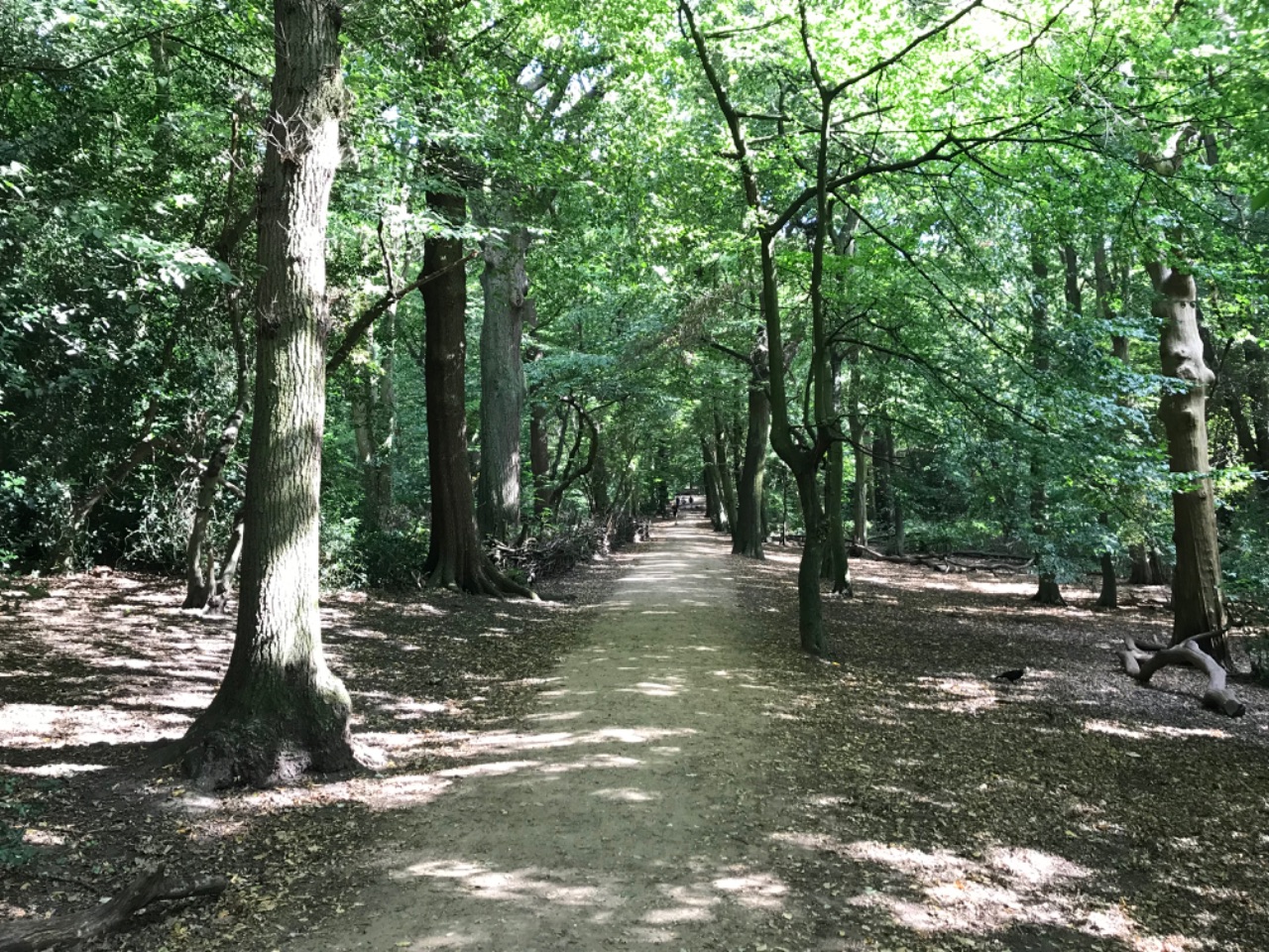Parkland walk