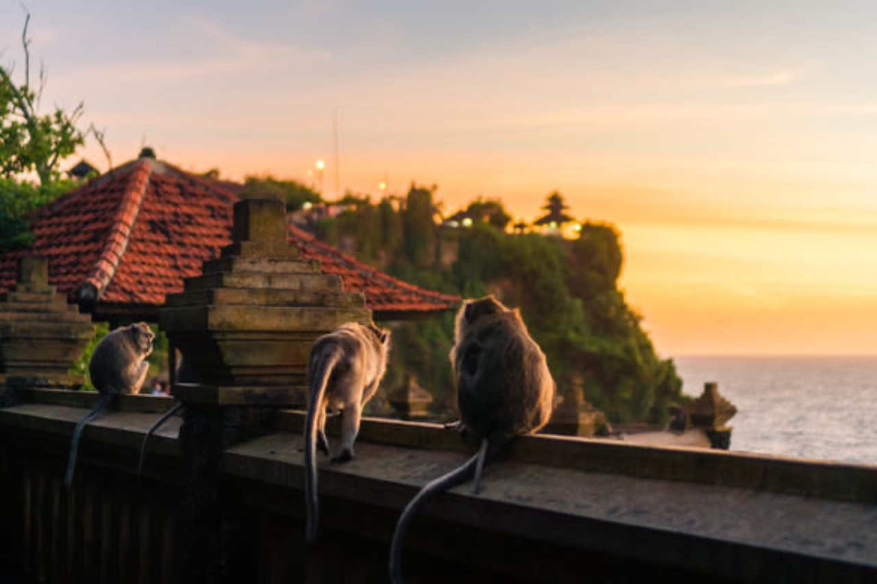 Visit the Uluwatu Temple