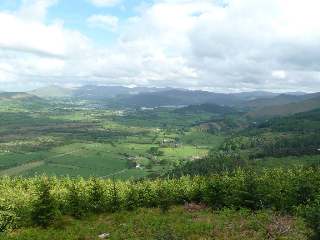 Whinlatter Forest Walk