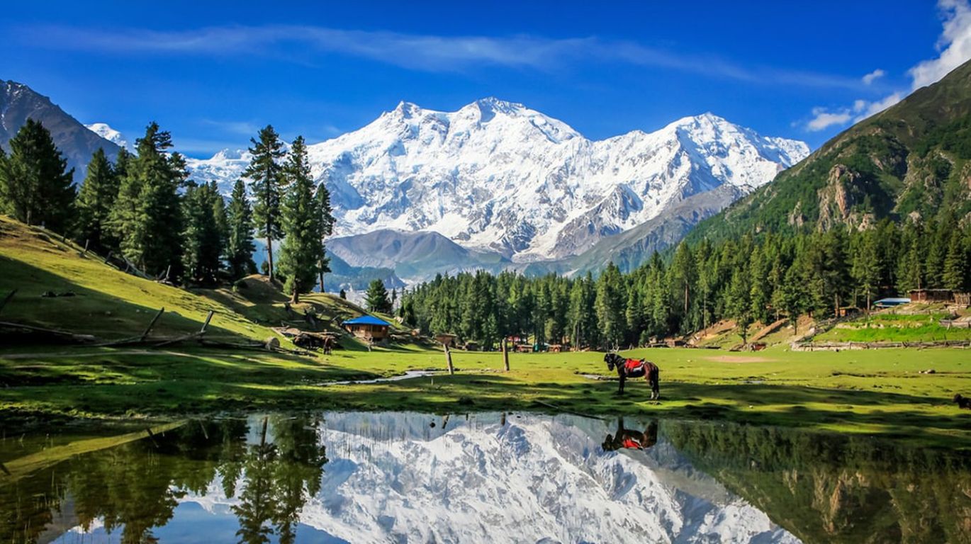 Visit the Fairy Meadows National Park