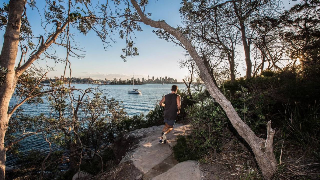 Hermitage Foreshore track