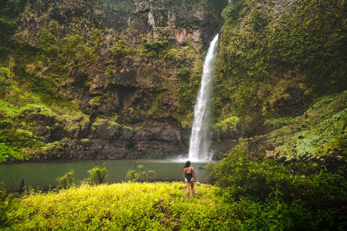 Visit the Nandroya Falls