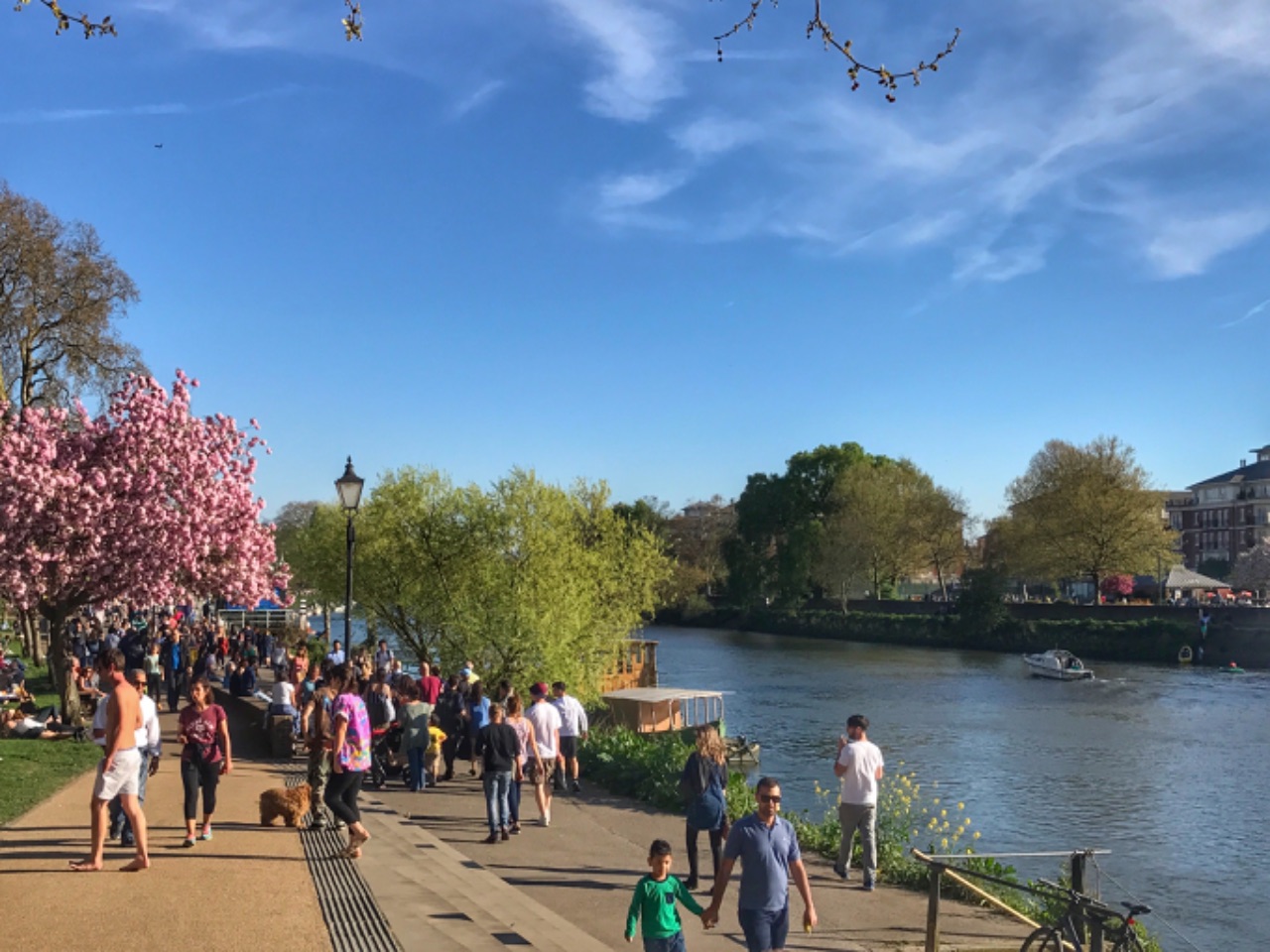 Cycle from Putney to Richmond