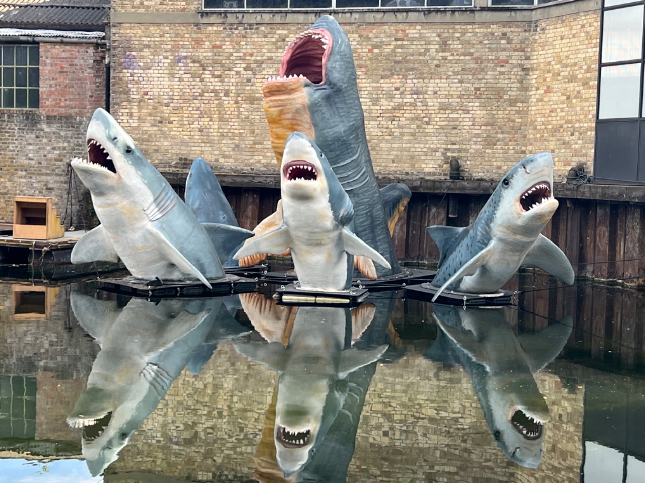 recommended travellar test hackney cosa