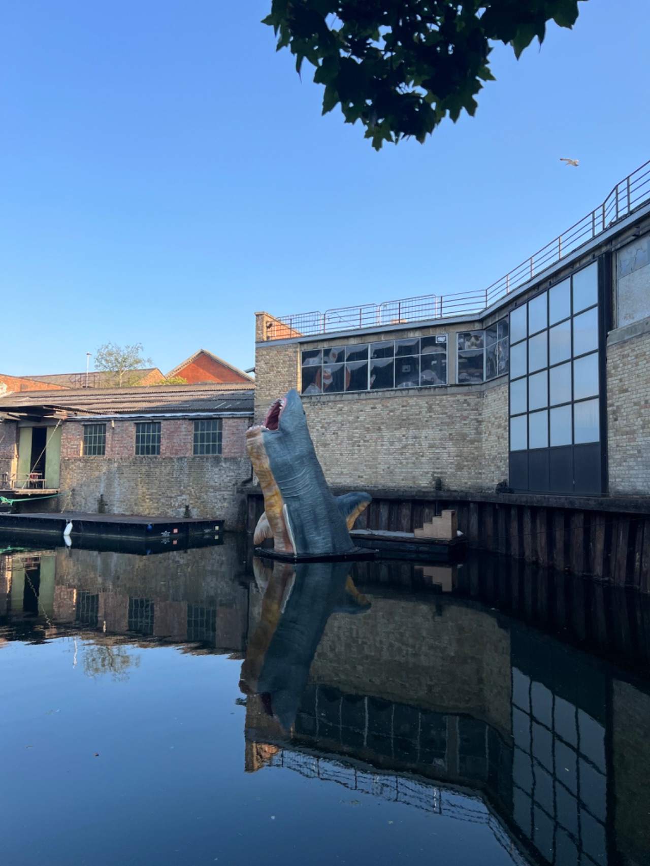 recommended travellar test hackney cosa