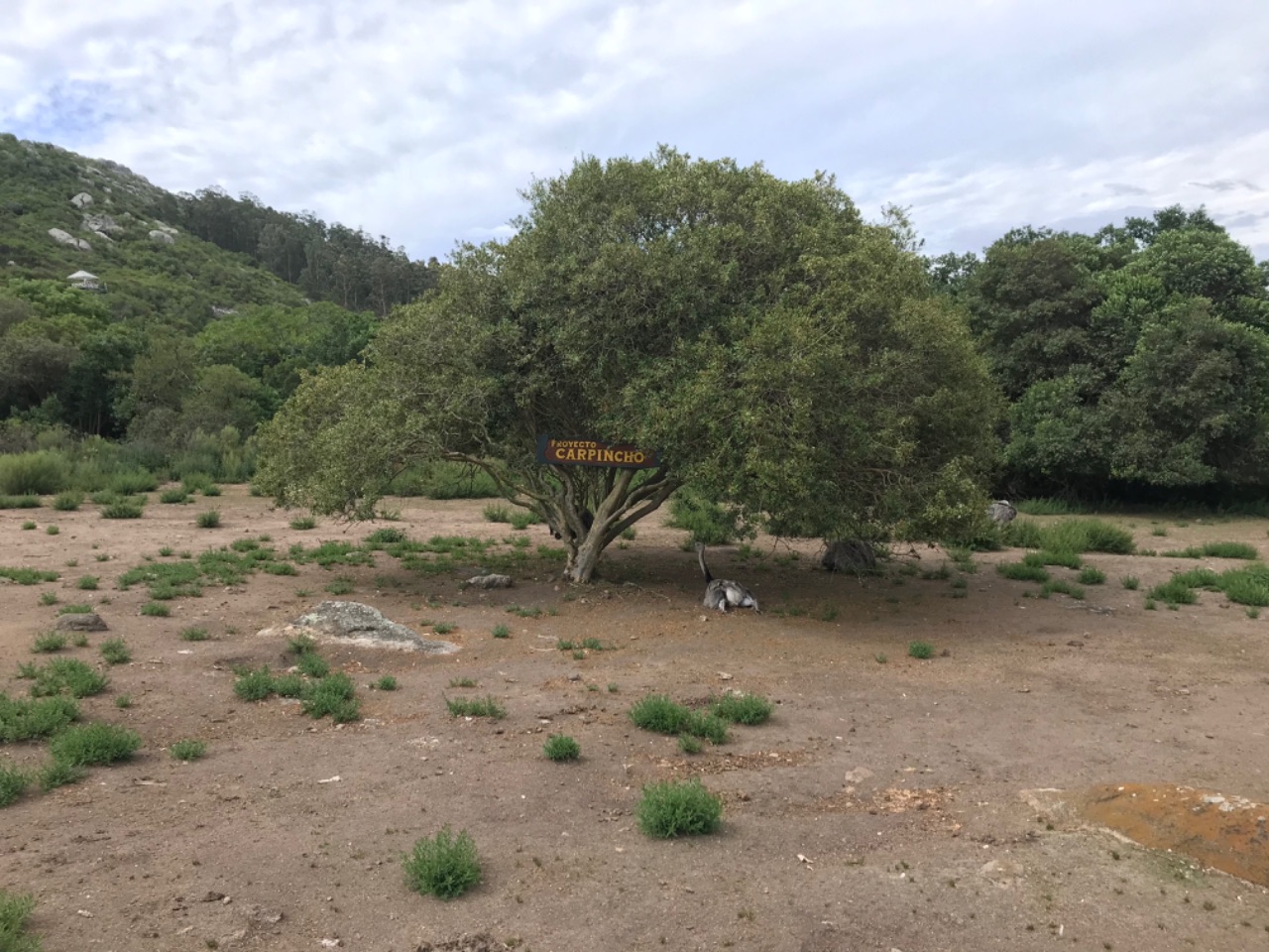 Climb Cerro Pan de Azúcar