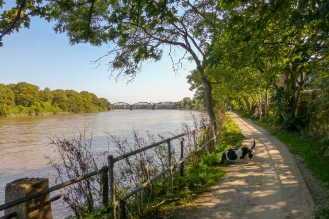 Cycle from Putney to Richmond