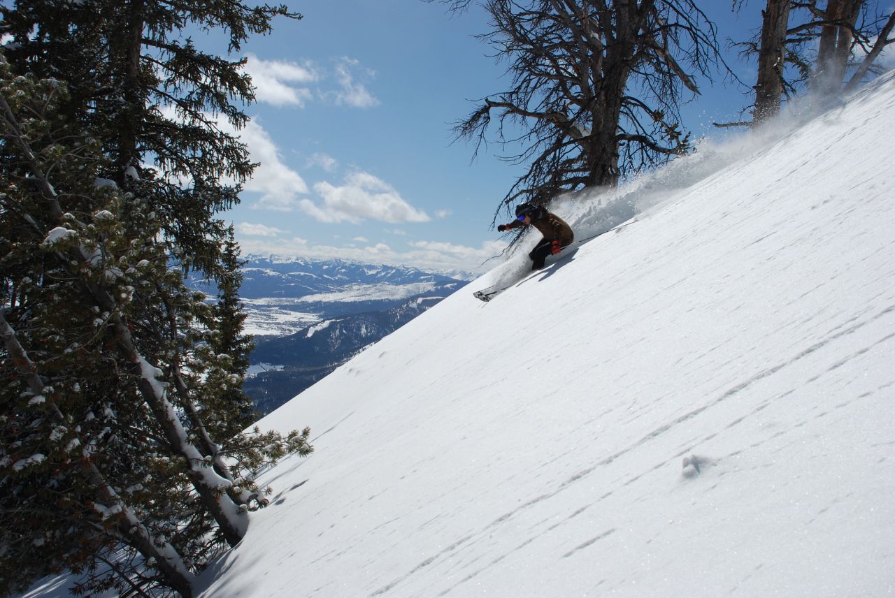 Le Fornet Off-Piste Tree Runs