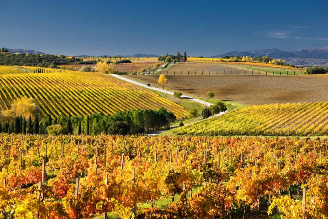 Walk la Strada del Vino