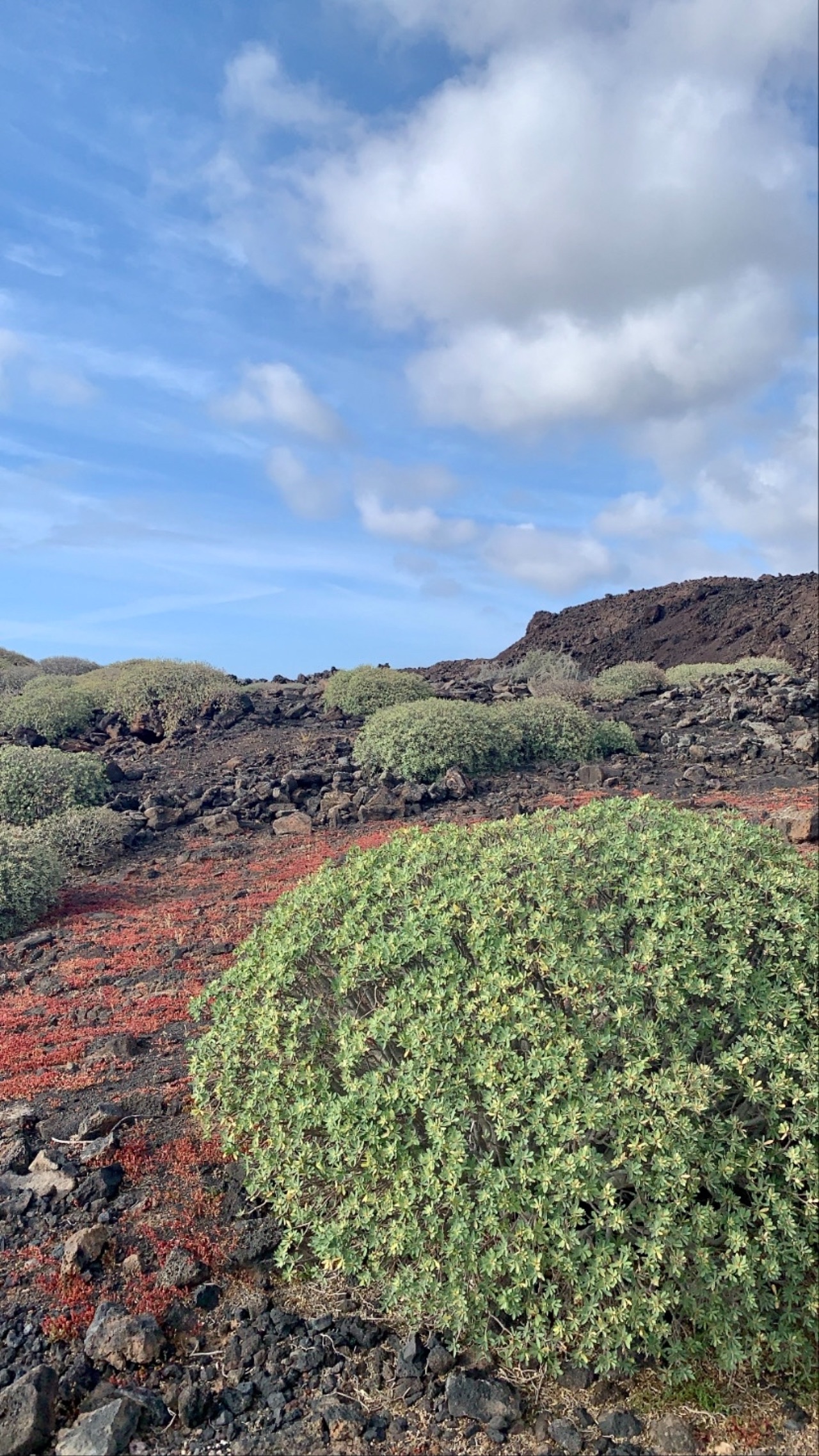 Timanfaya National Park