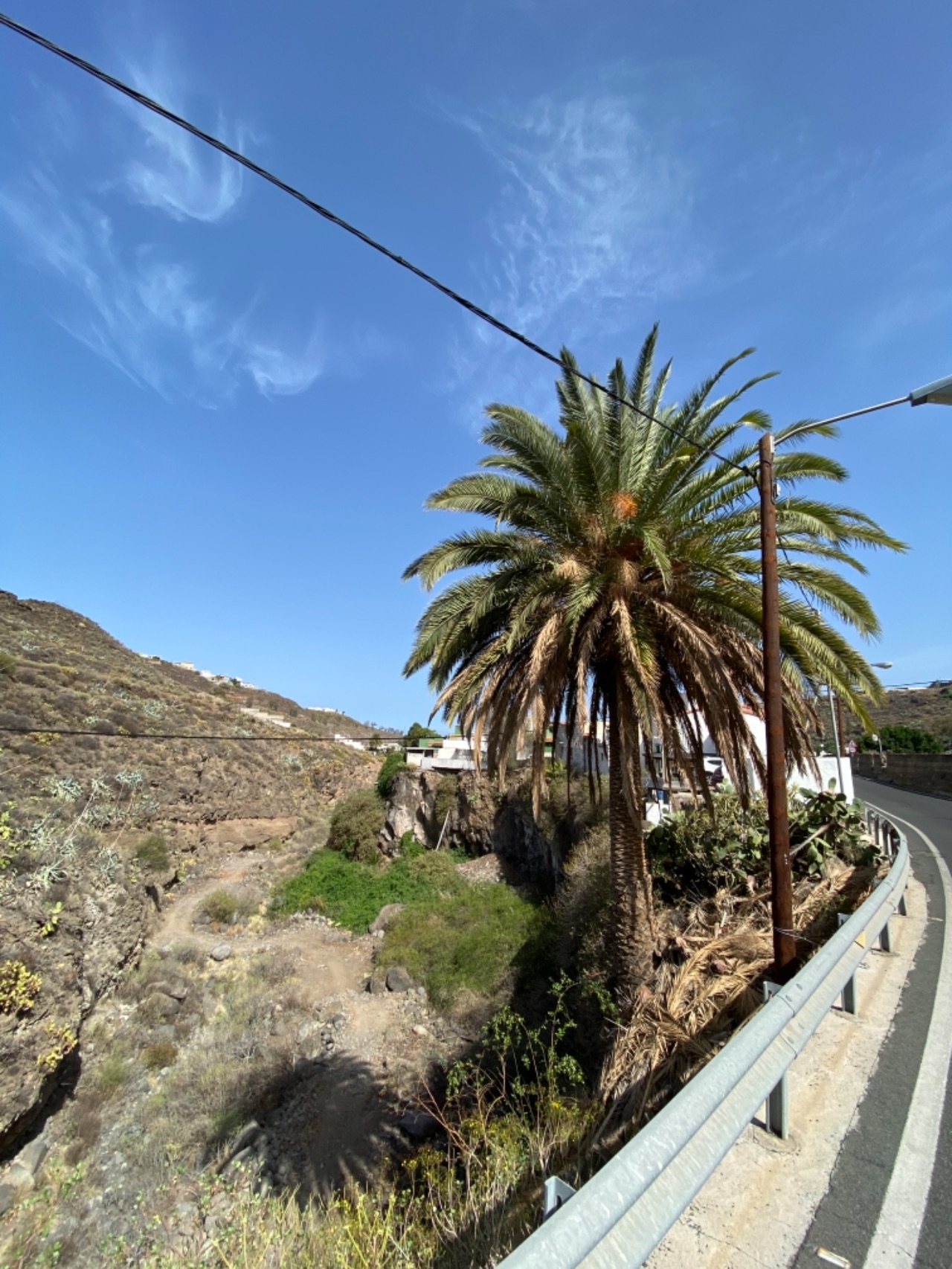Canary Island MT Tour