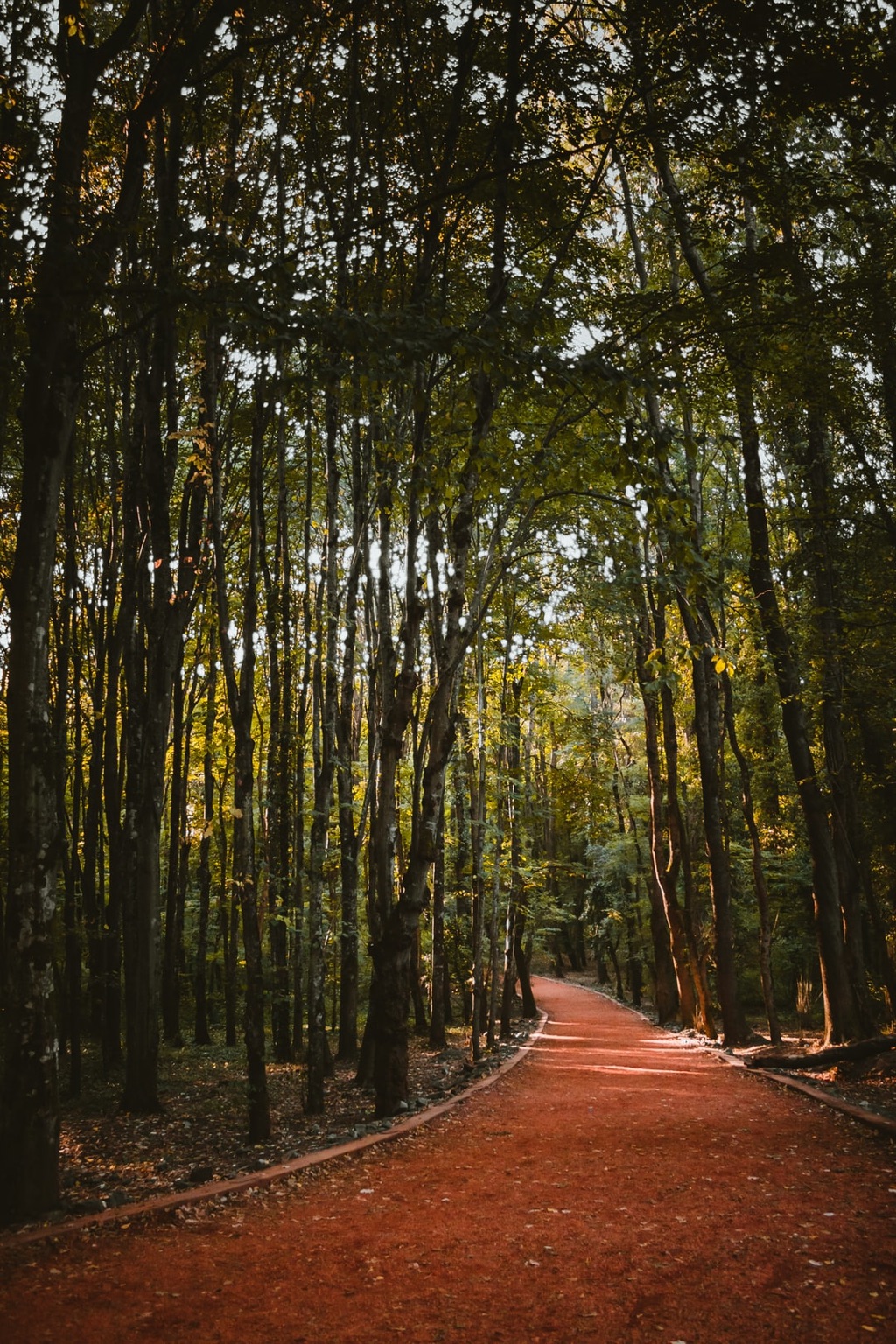 Visit the Belgrad forest
