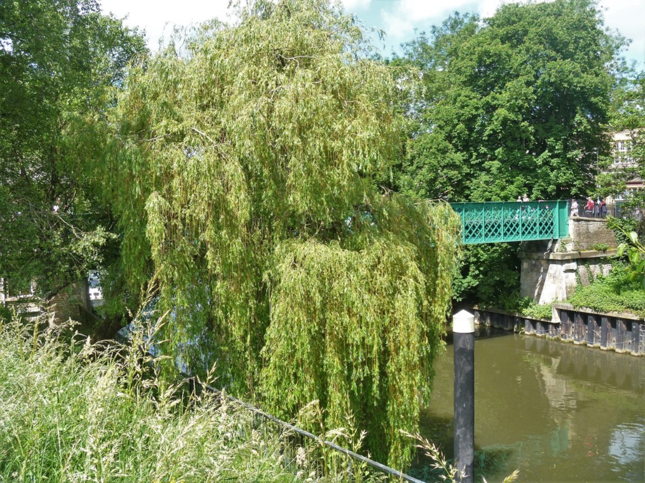 Walk along the river