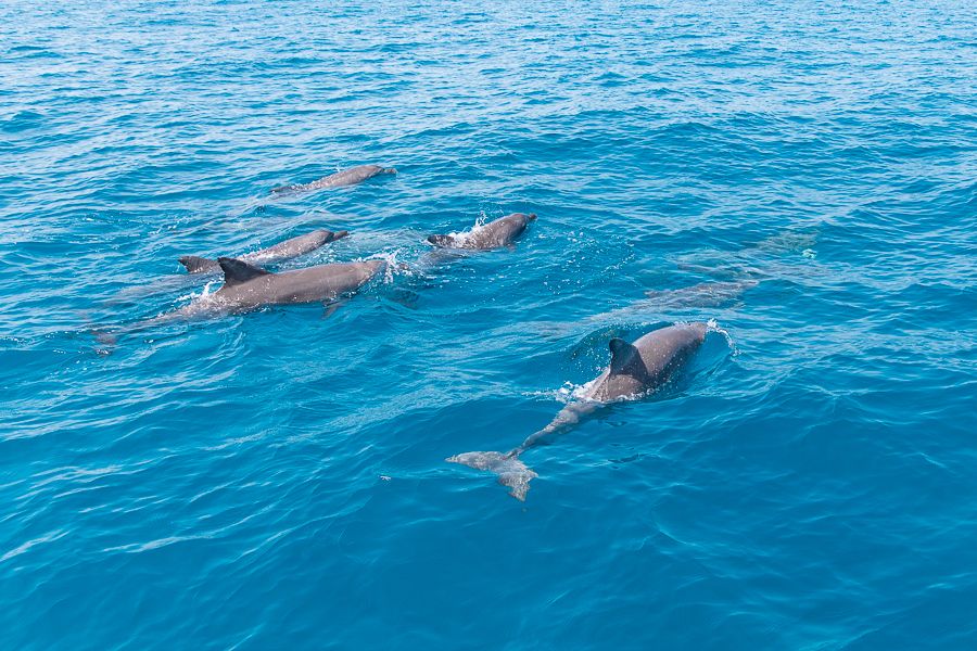 Moreton island 