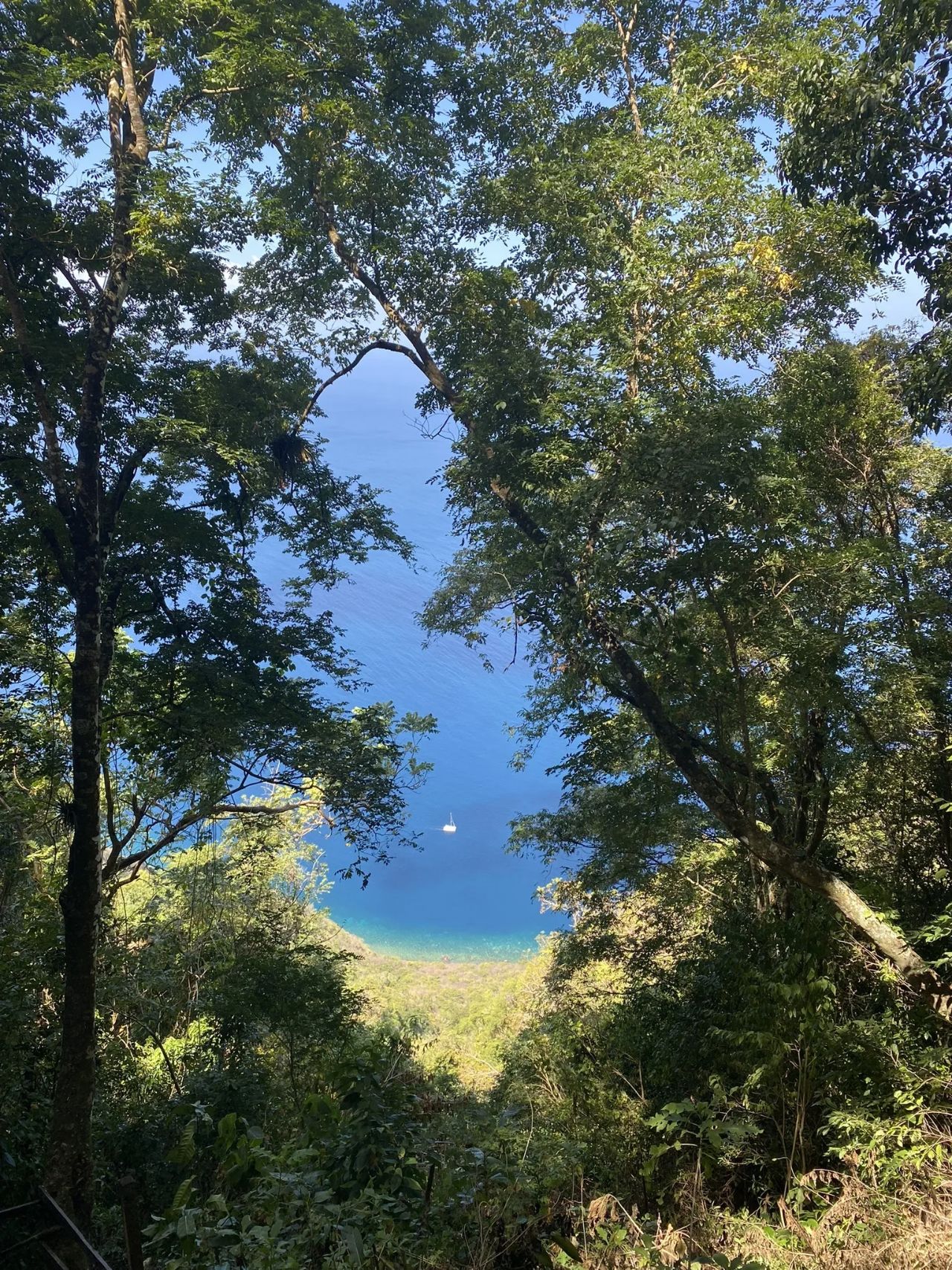 Hike the Gros Piton Trail