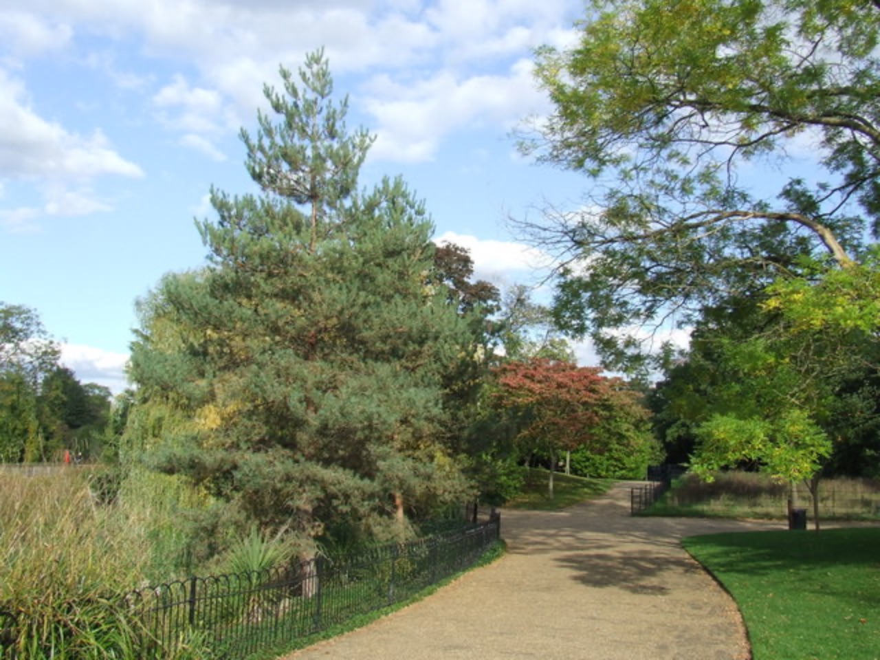 Dulwich Village