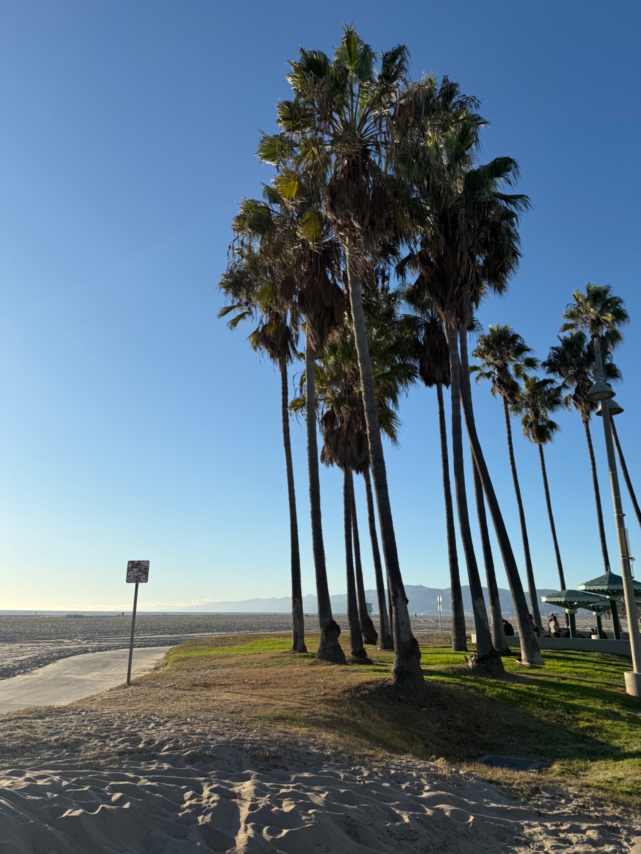 Cycle from Santa Monica to Venice Beach and stroll around Ocean Front Walk