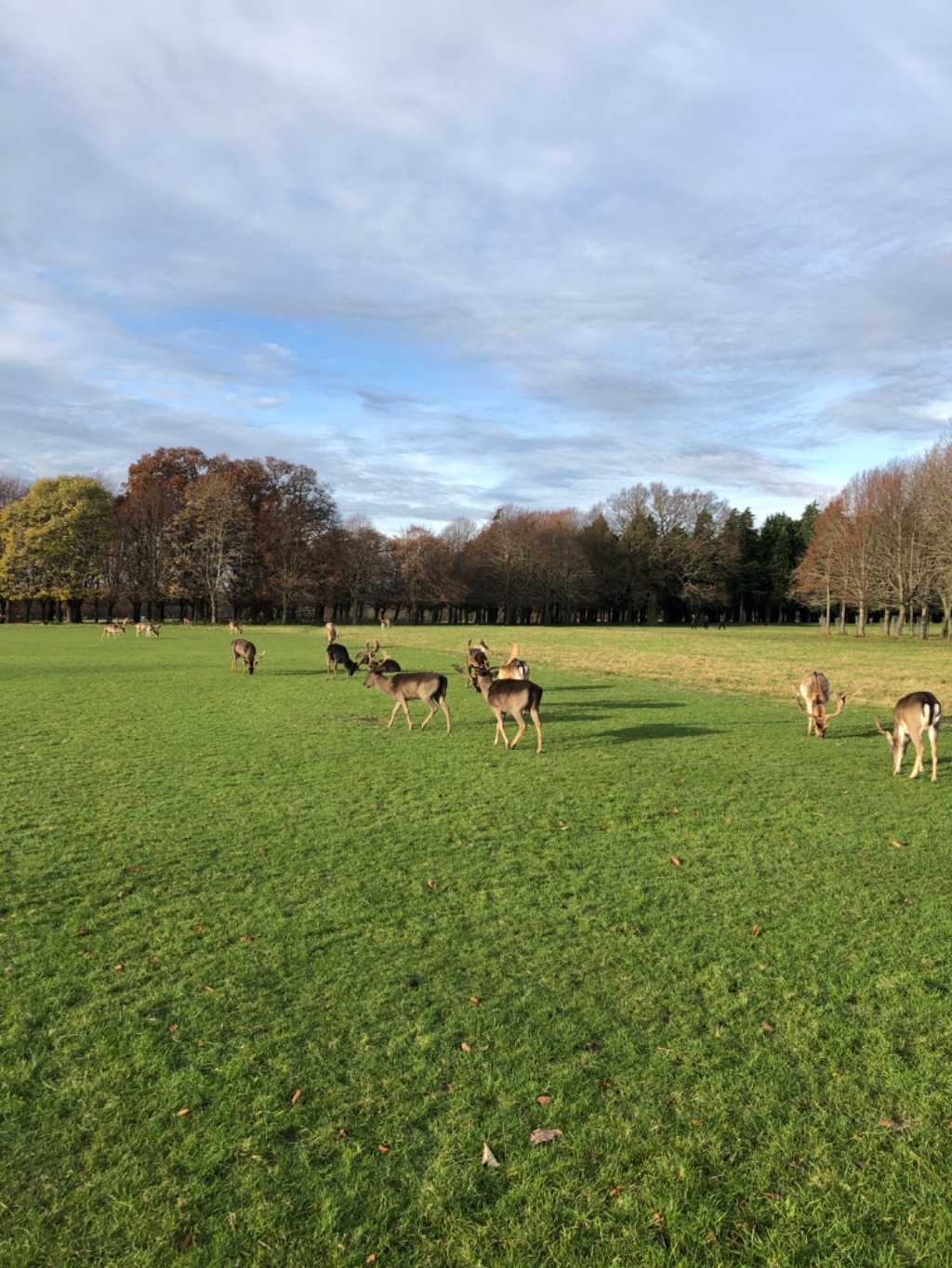 Biggest Park in Dublin