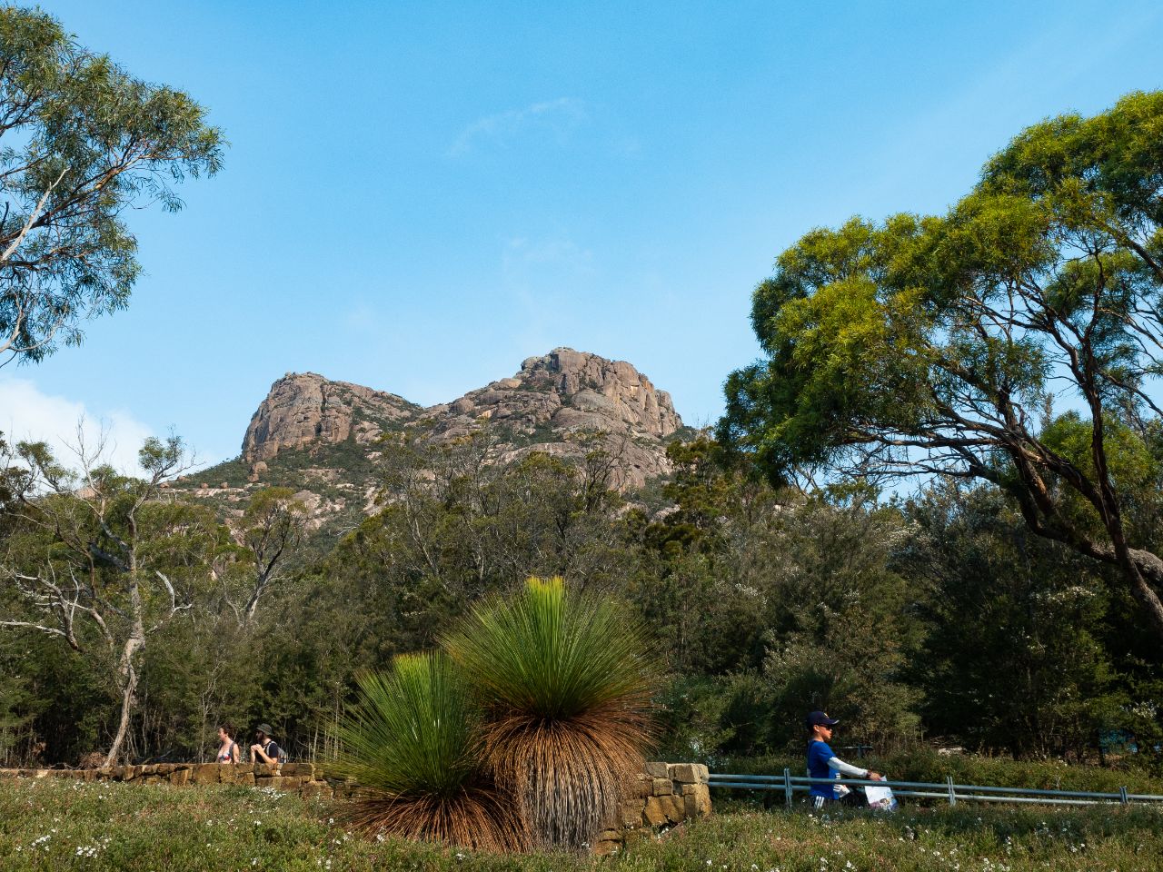 Summiting Mt Amos