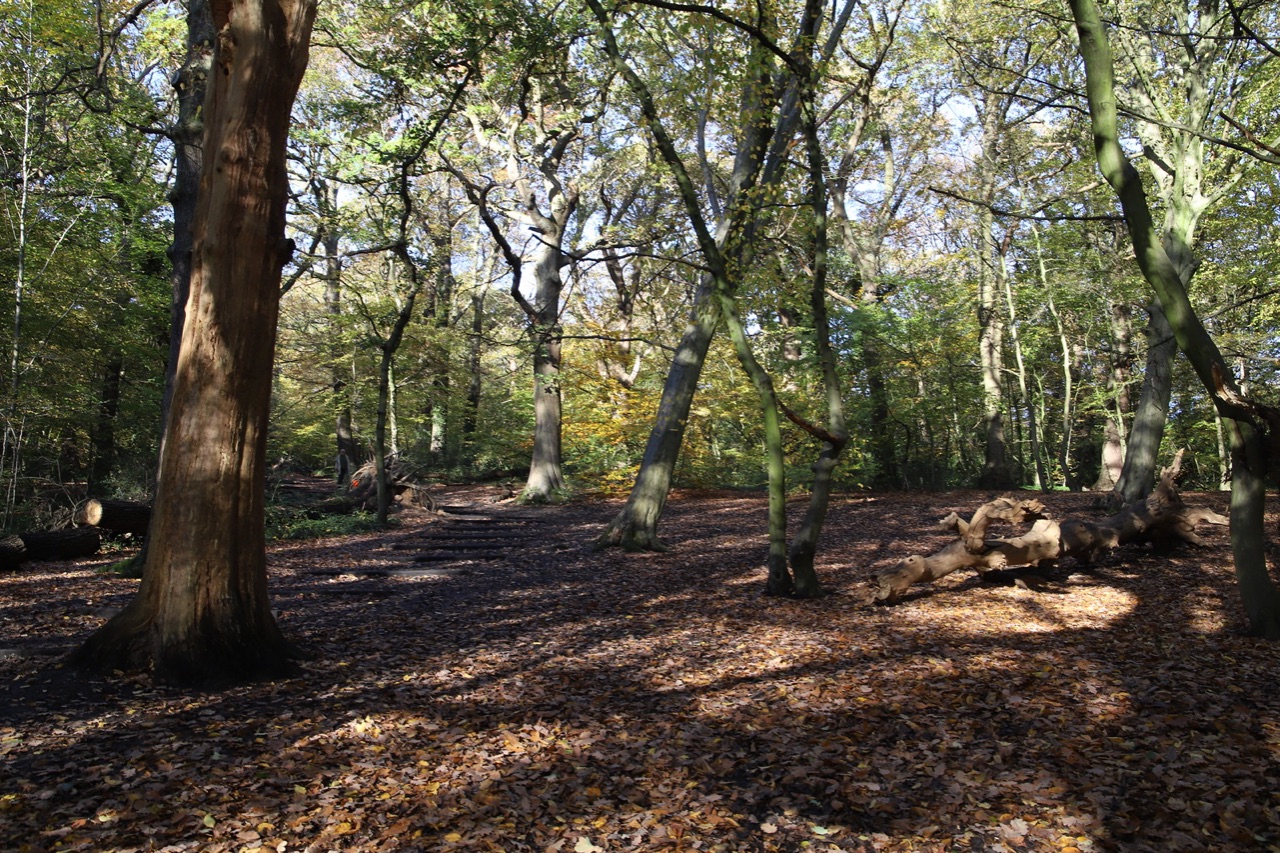 Parkland walk