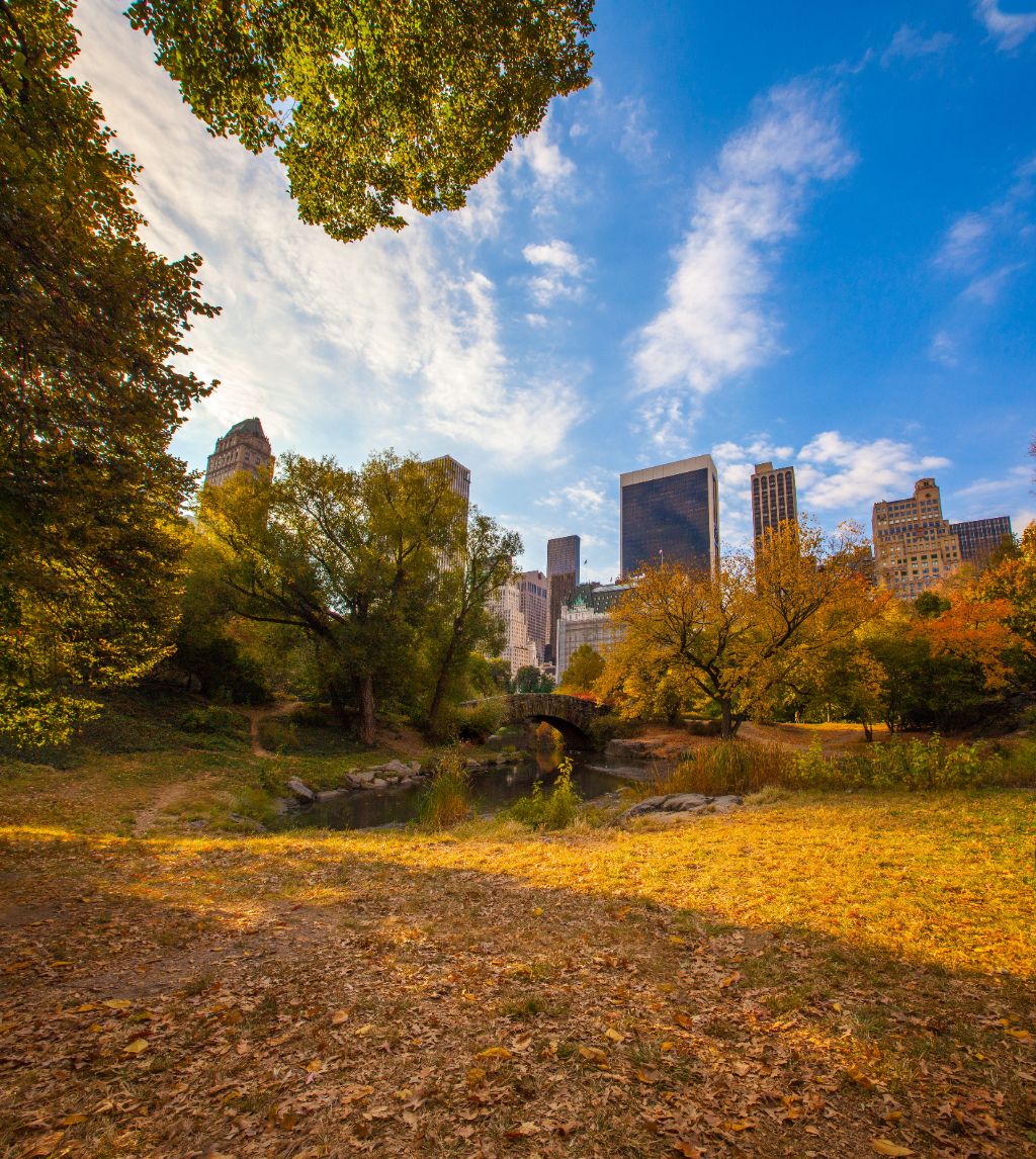 Central Park Run