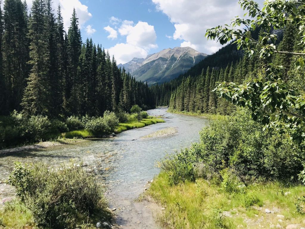 Cycle the Goat Creek Trail