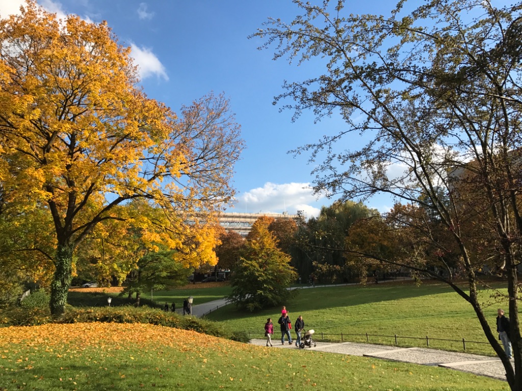 Walk on the park