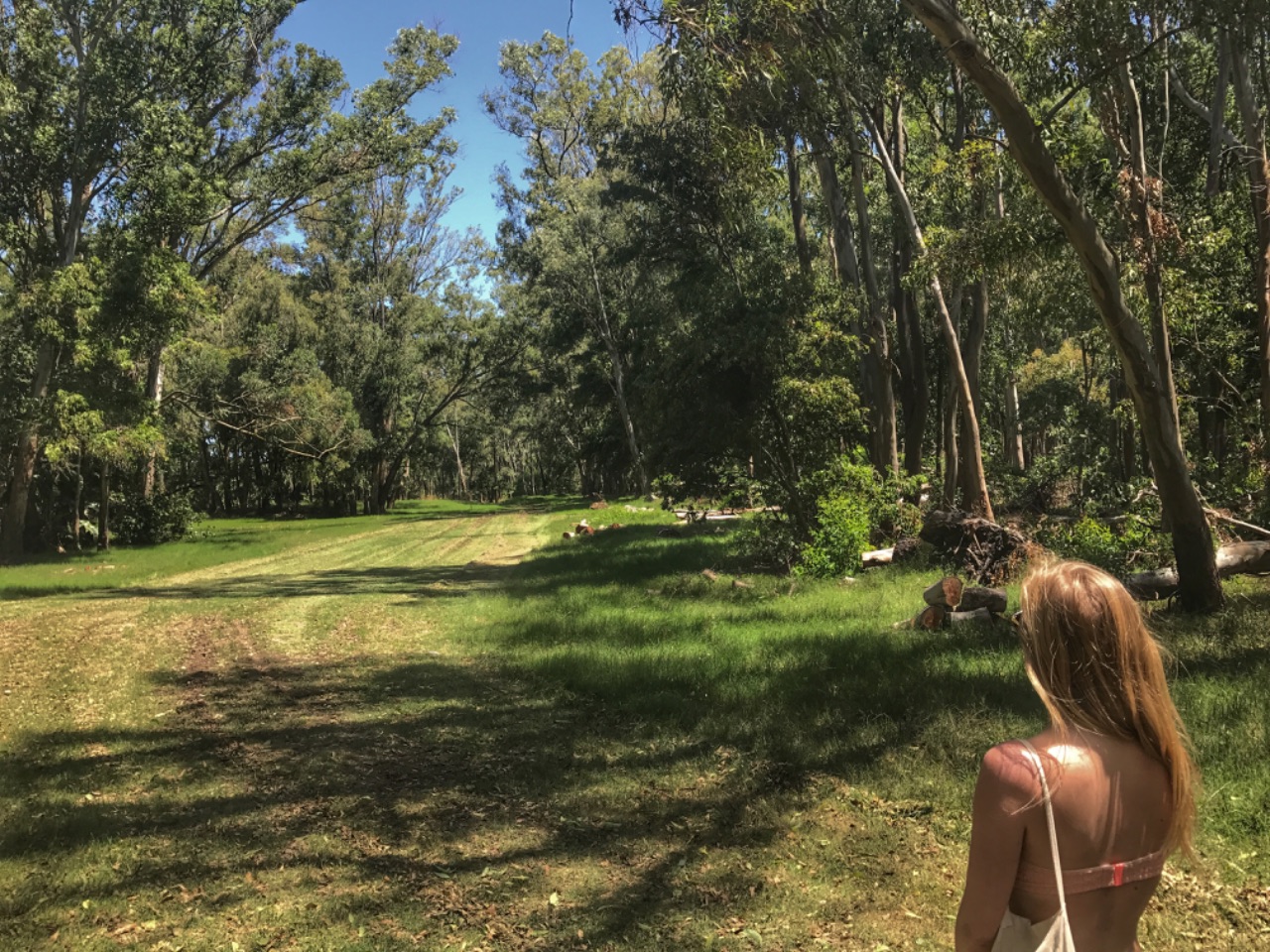 Visit the Gorriti Island