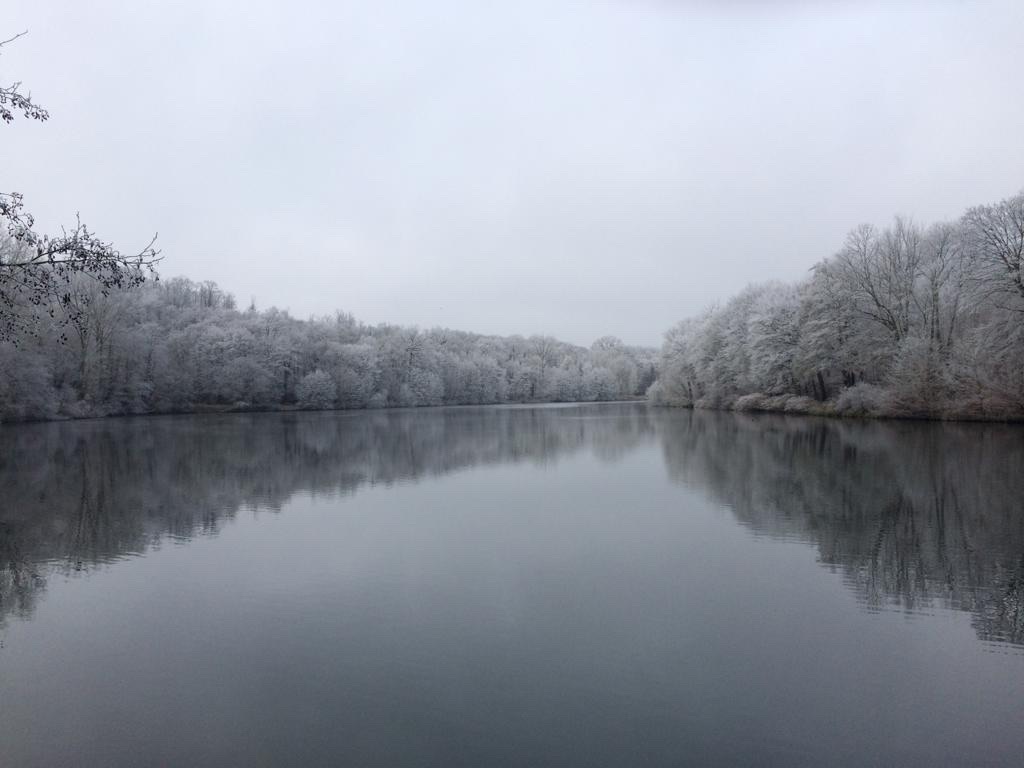 Walk around La Minière’s ponds