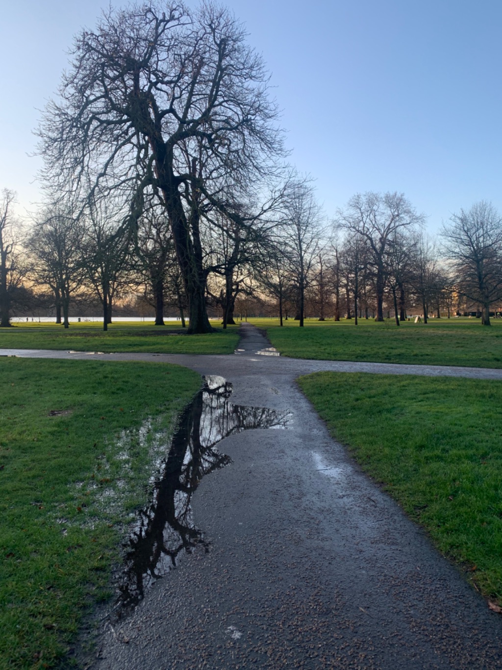 Kensington Gardens 