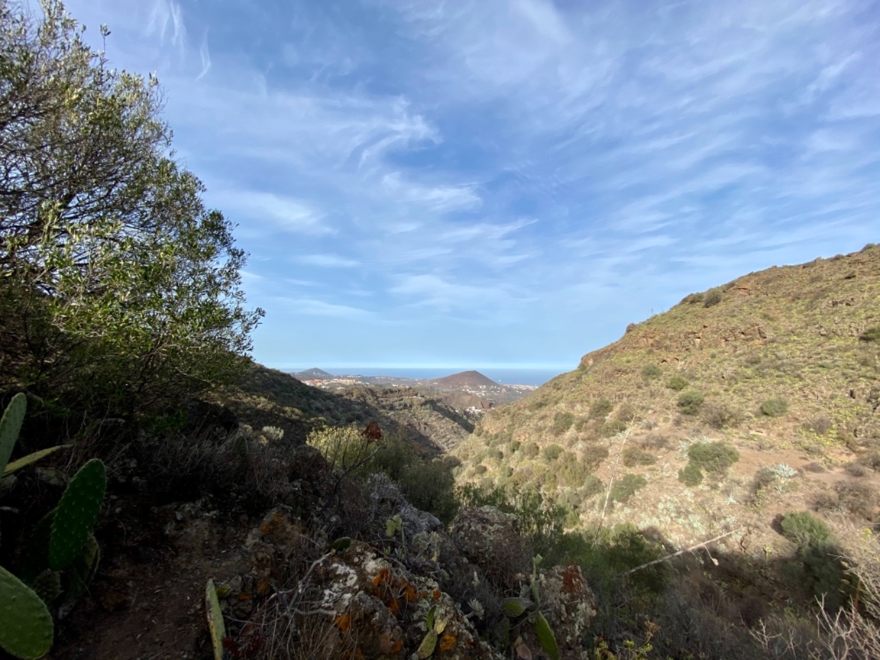 Canary Island MT Tour