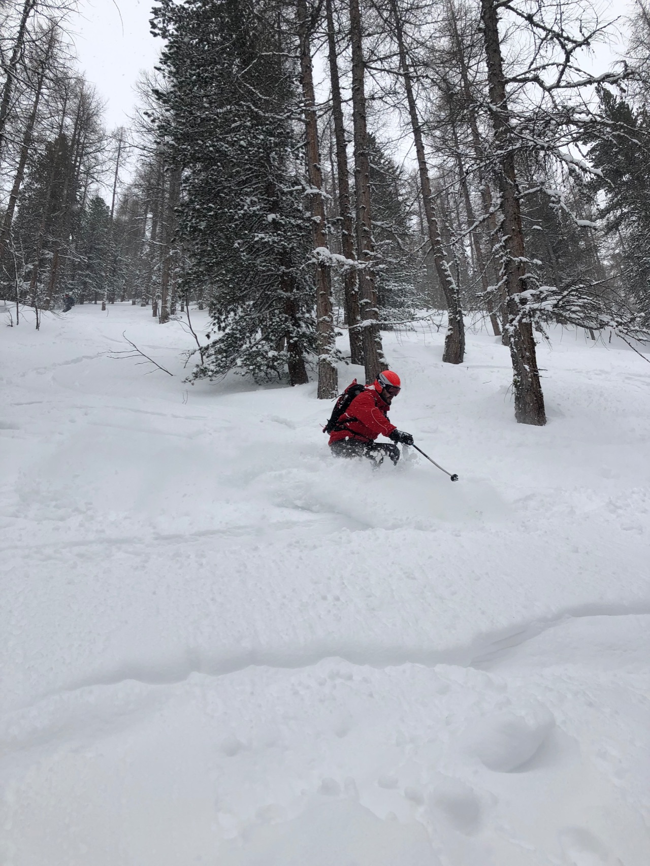 La Fornet Off-Piste Tree Runs