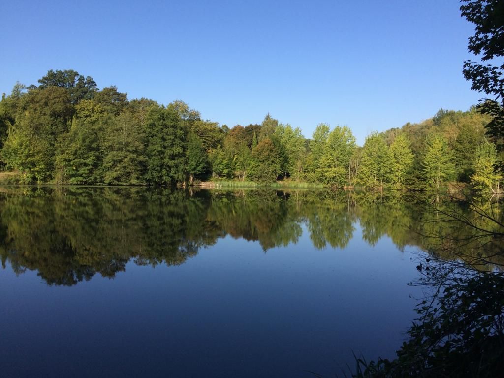 Walk around La Minière’s ponds