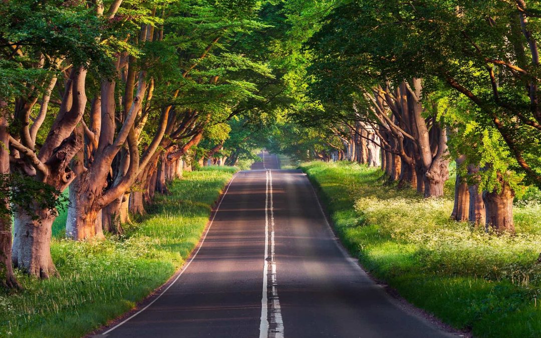 8 x leuke rondreizen voor op de bucketlist
