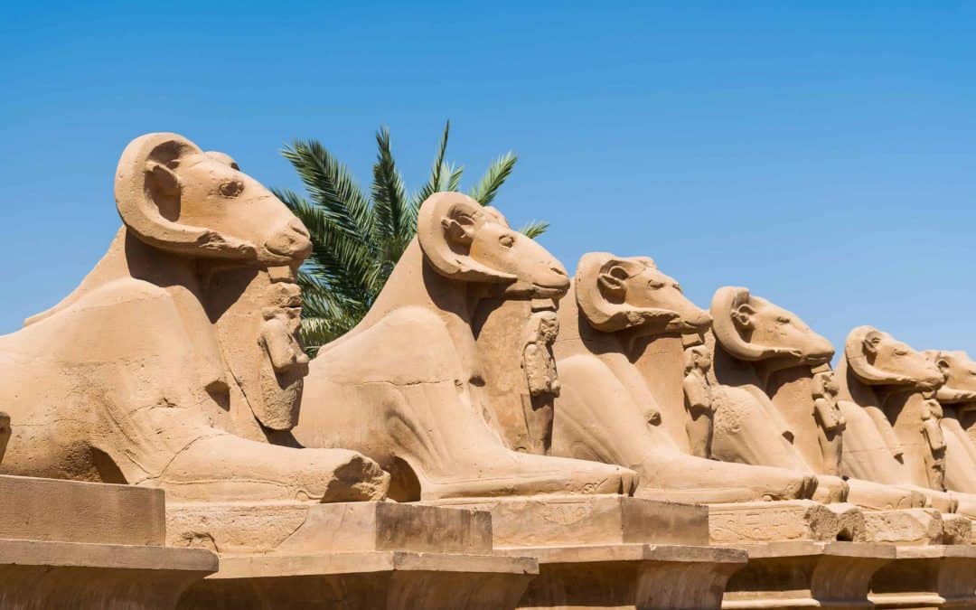 Wat te doen in Luxor in Egypte? Tips + bezienswaardigheden